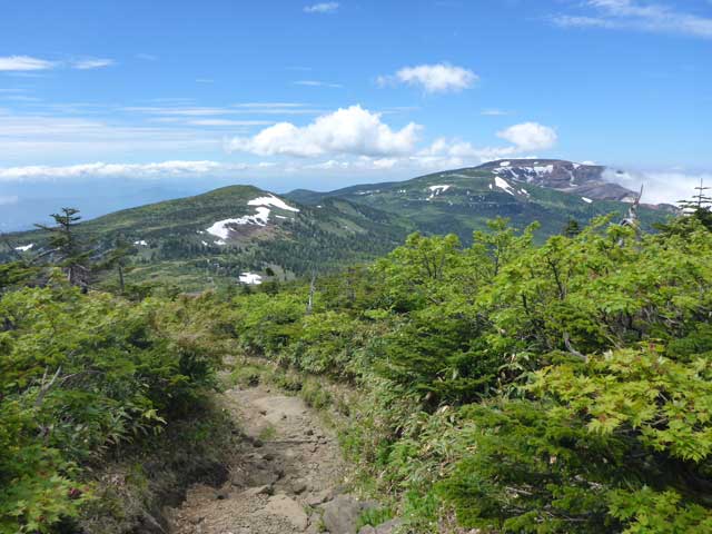 写真：南蔵王縦走路　杉が峰